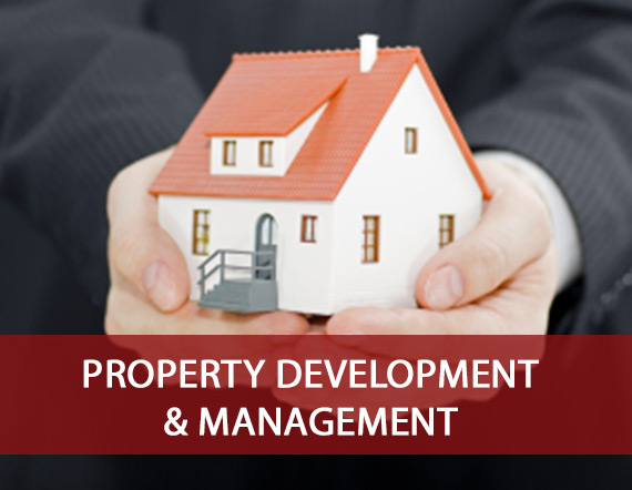 Property Development